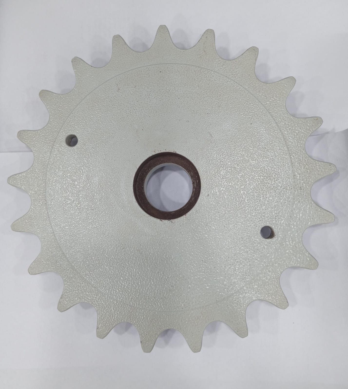 RS100-1B-21T Simplex Sprocket for Z-Elevator Conveyor