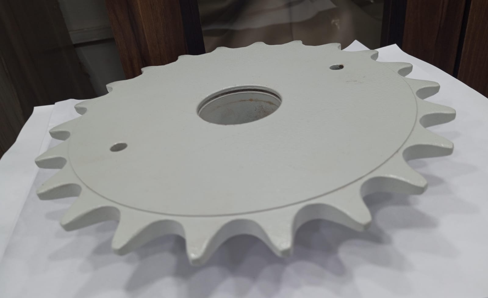 RS100-1B-22T Simplex Sprocket for Z-Elevator Conveyor